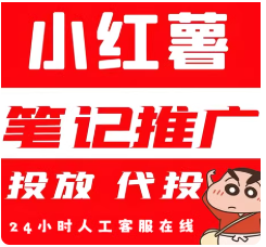 小红 xhs书优化推广小红薯0基础起号笔记预热策划IP提升综合服务